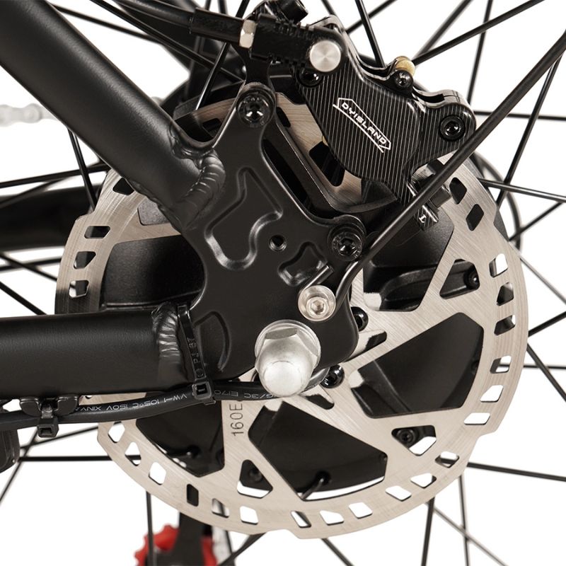 Big Game Bikes Buffalo 250W Mountain e‑Bike