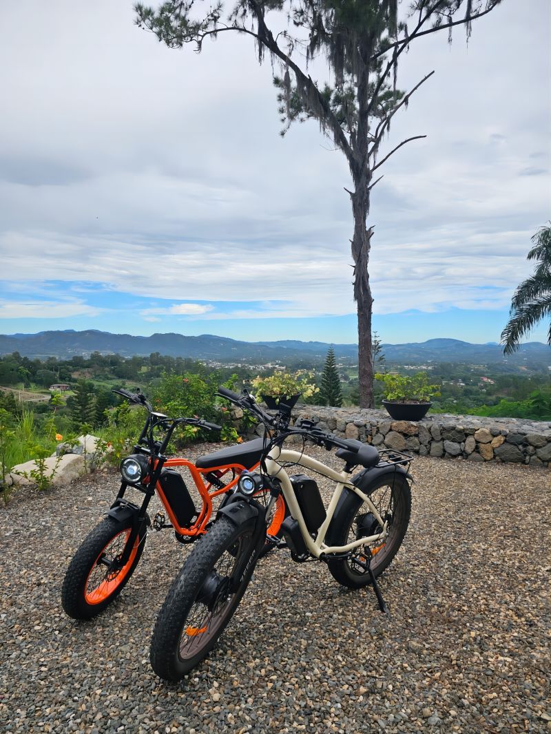 BluVall F1 2000W Electric Fat‑Tire Bike