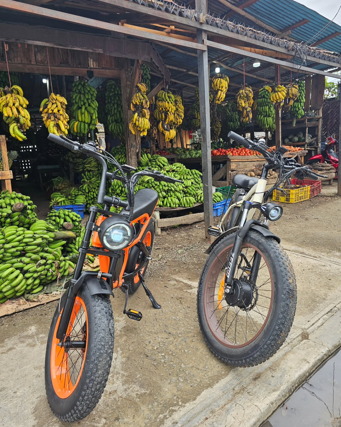 BluVall F1 2000W Electric Fat‑Tire Bike