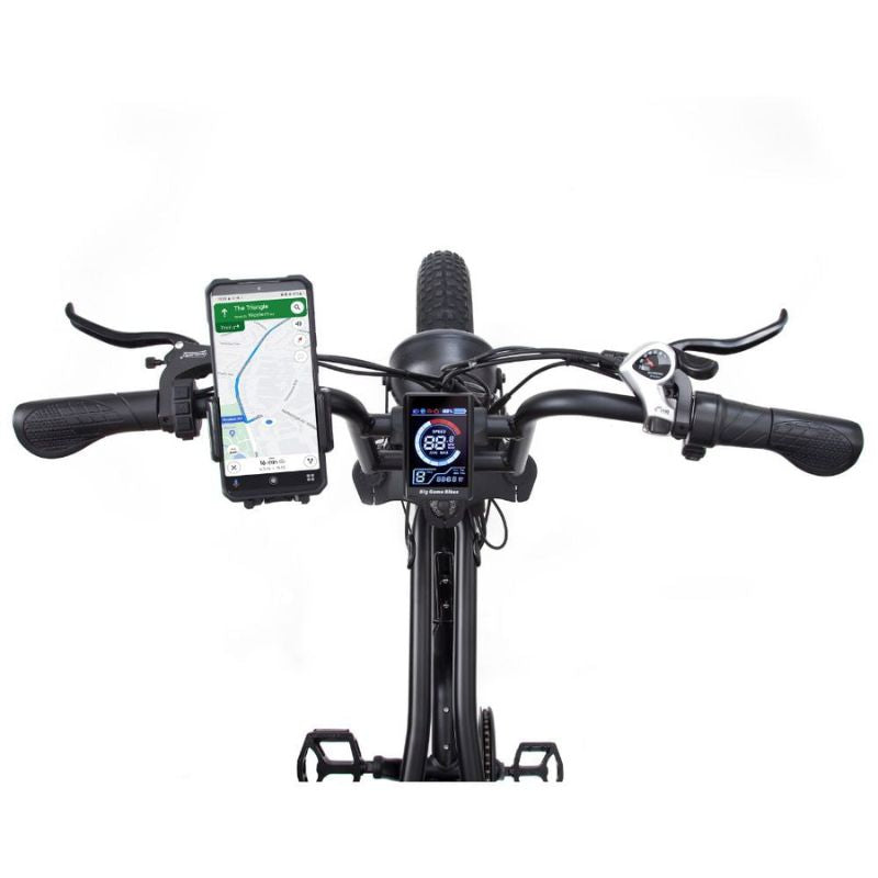 Warthog 750w Cruiser eBike