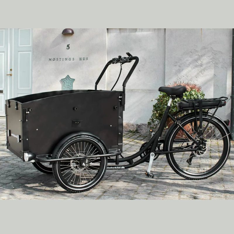 AMCargoBikes Curve Workman 2 Cargo Tricycle