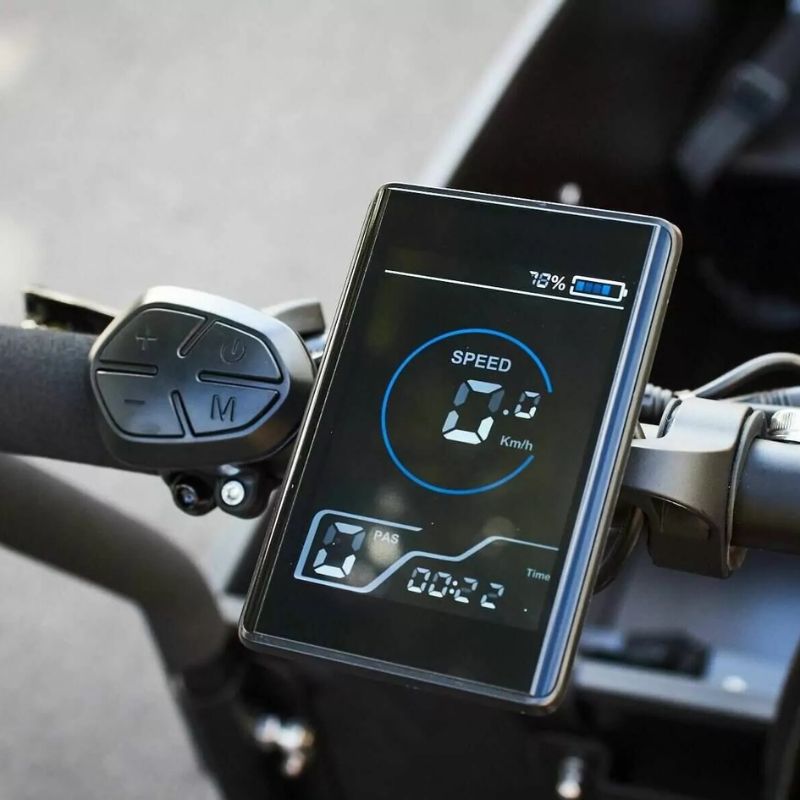 AMCargoBikes Ultimate Curve Cargo Electric Tricycle