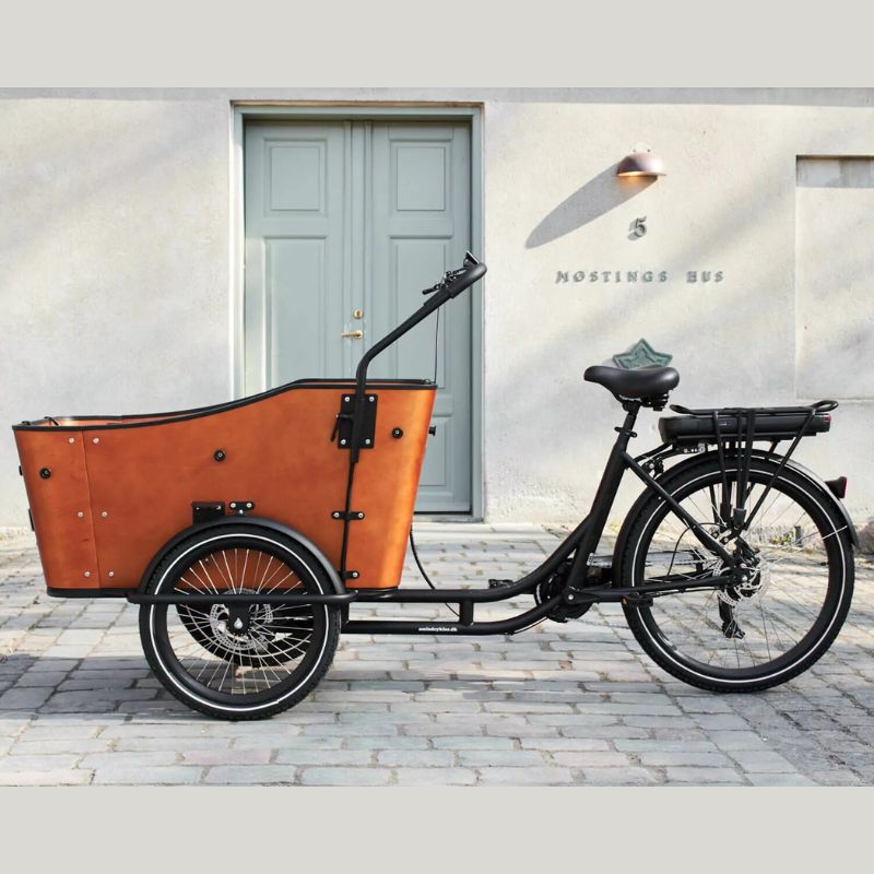 AMCargoBikes Ultimate Harmony Cargo Electric Tricycle