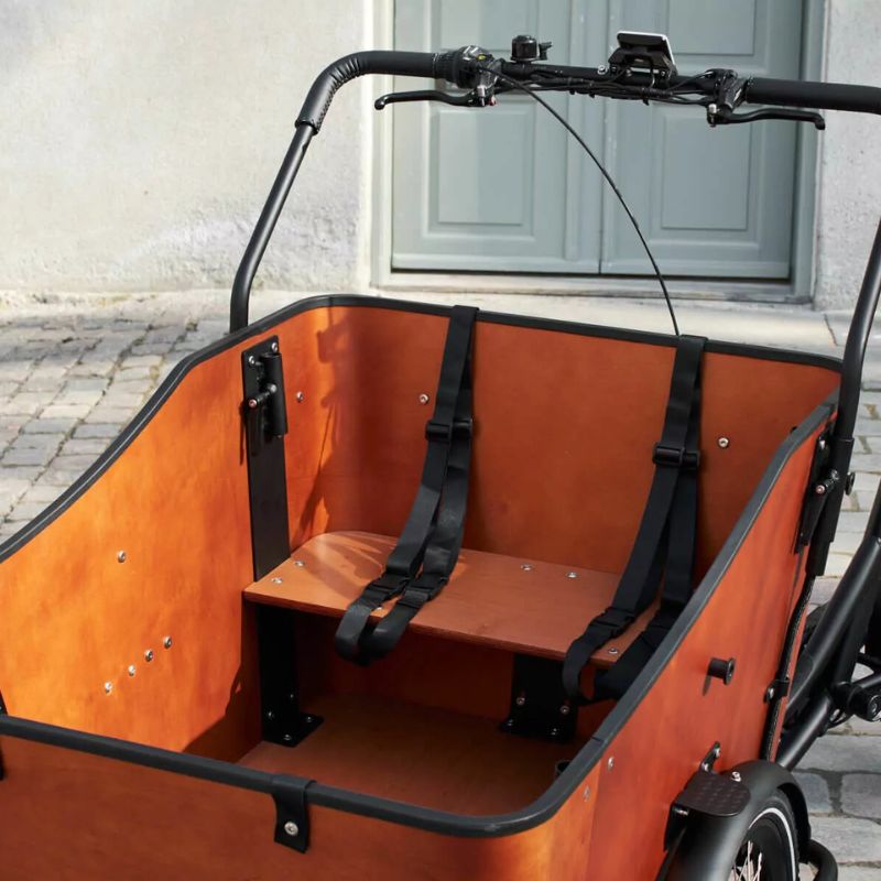 AMCargoBikes Ultimate Harmony Cargo Electric Tricycle