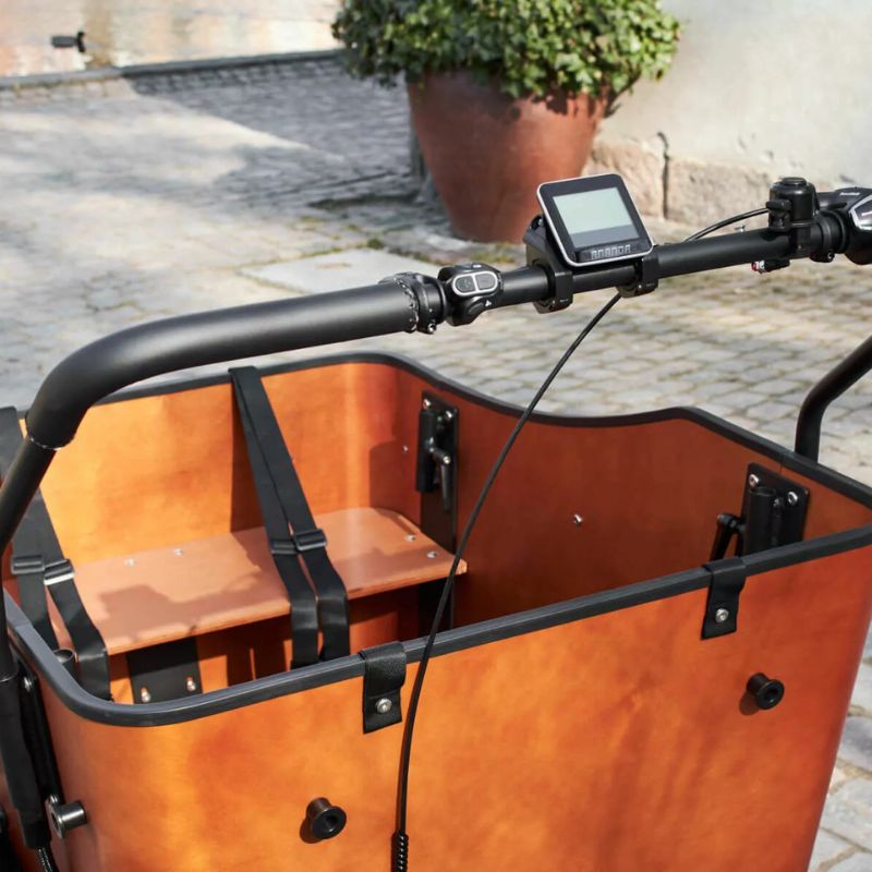 AMCargoBikes Ultimate Harmony Cargo Electric Tricycle