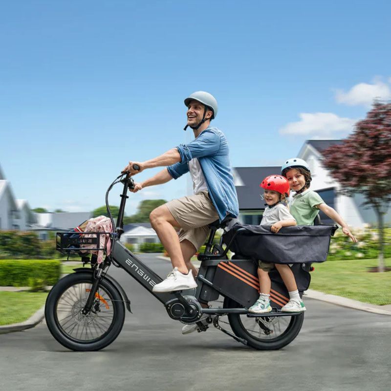 ENGWE LE20 Mid-drive Step-Thru Cargo Electric Bike Torque Sensor Top Speed 15.5mph 180km-350mile Range 250W 5.0