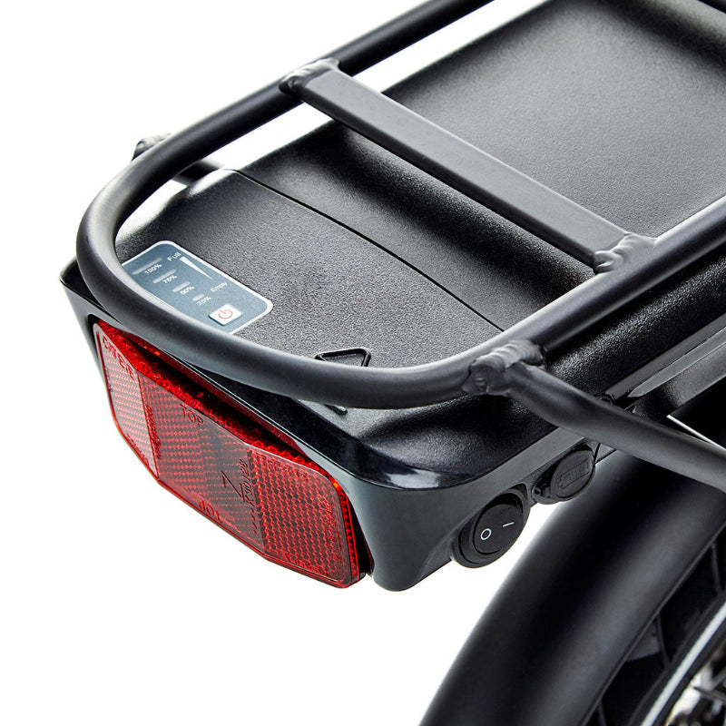 Fold Electric Bike