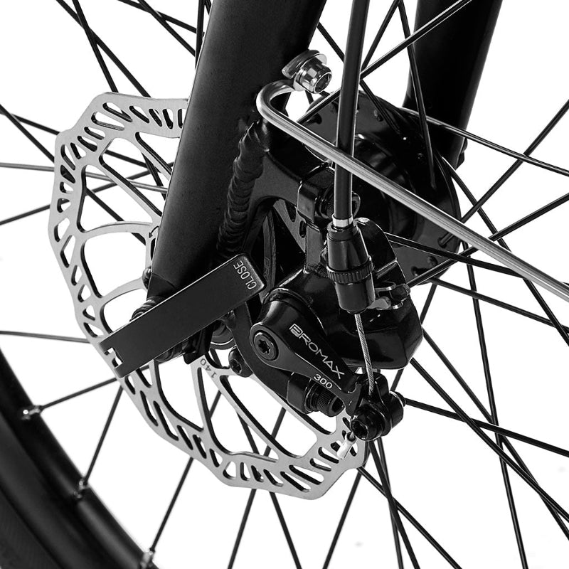 Fold Electric Bike