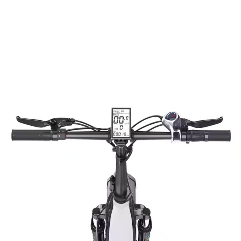 Hidoes 20inch Tyre ebike BF1 48V 750W Electric Bicycle