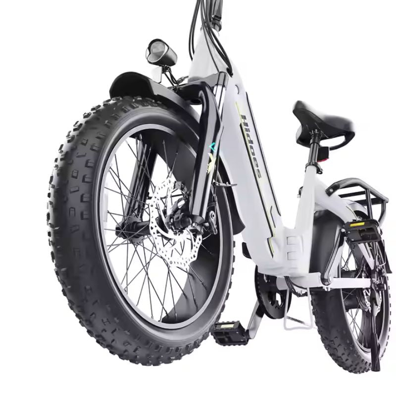 Hidoes 20inch Tyre ebike BF1 48V 750W Electric Bicycle