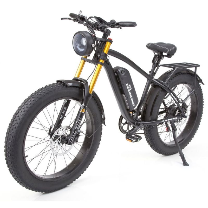 Hydraulic disc brakes close‑up on front wheel