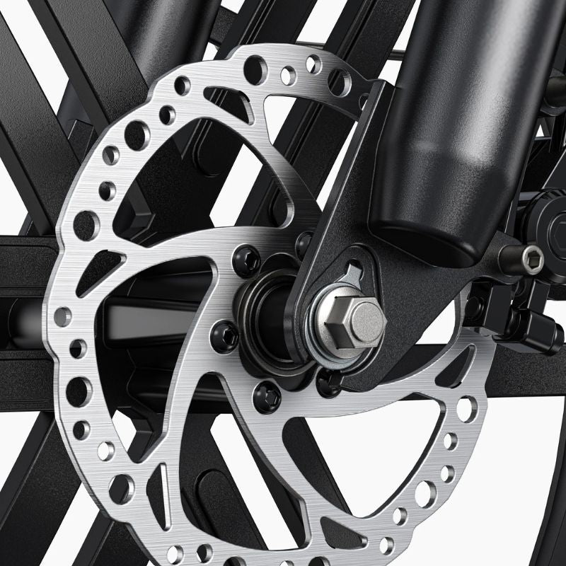 Engwe L20 Boost 75Nm Torque Utility Fat Tire
