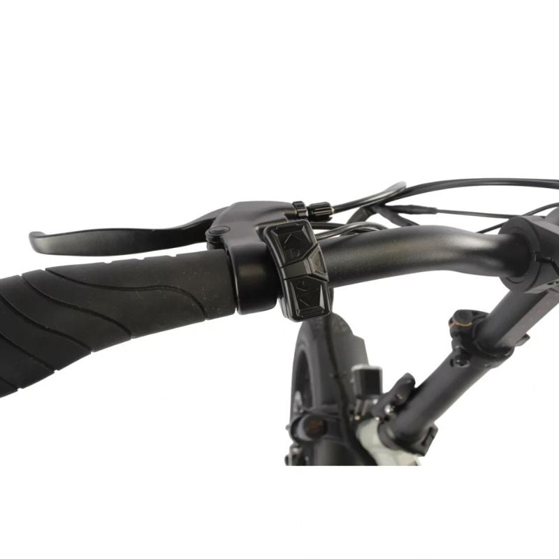 EMU Fat Tyre Folding Electric Bike