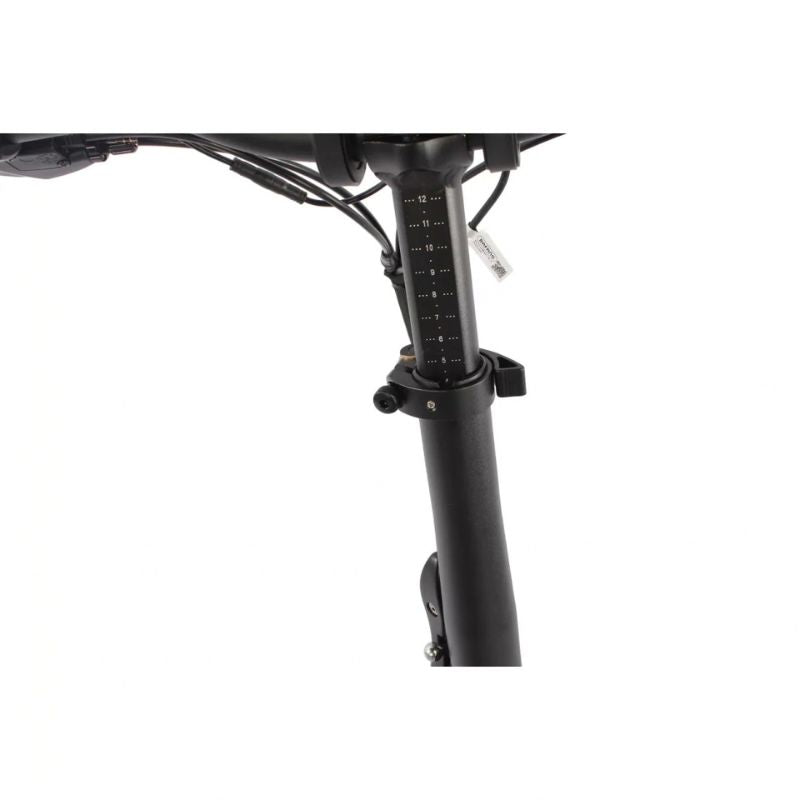EMU Fat Tyre Folding Electric Bike