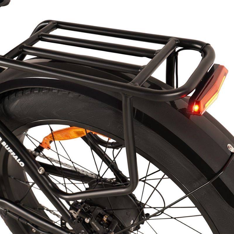 Buffalo 750w Mountain eBike