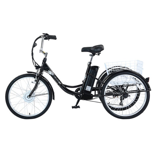 GOGOBEST GF100 350W 15Ah Electric City Tricycle