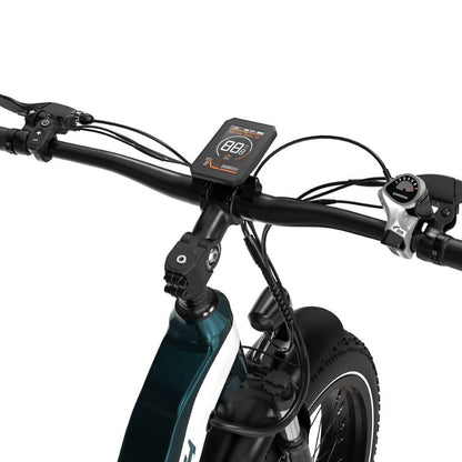 LCD display and handlebar controls ECORUSH R3