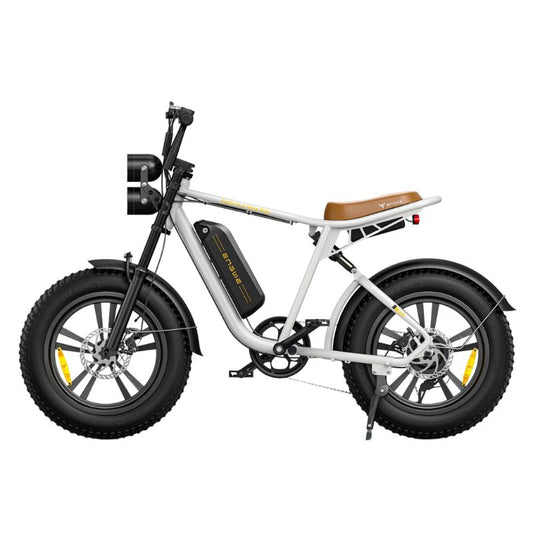 ENGWE M20 Dual Suspension Long-Range Electric Fat Tire Bike
