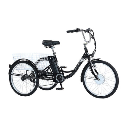 GOGOBEST GF100 350W 15Ah Electric City Tricycle