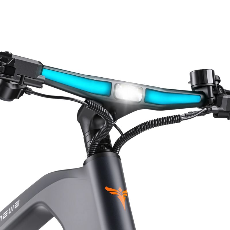 Front Light with Ambient Lighting on N1 Pro
