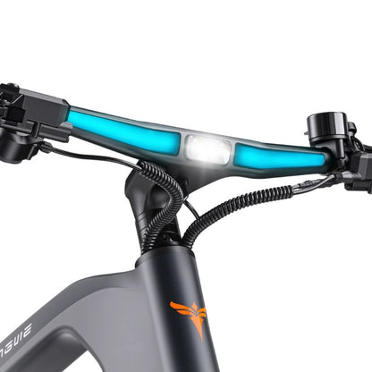 Front Light with Ambient Lighting on N1 Pro