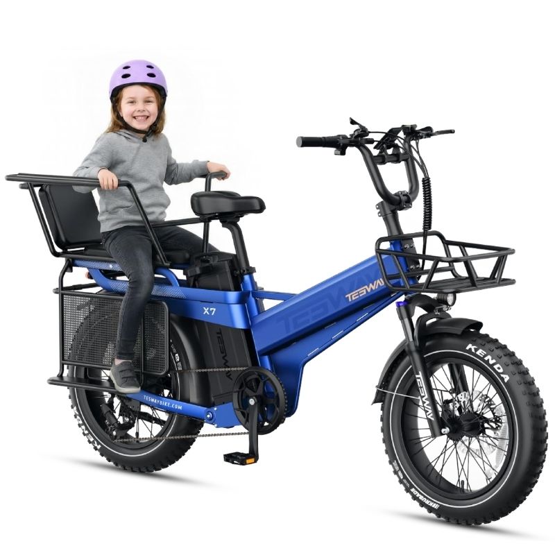 TESWAY X7 PRO Electric Bike – Factory-Locked 250W EAPC-Compliant Configuration, 52V 60Ah