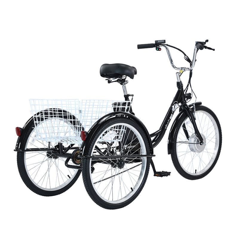 GOGOBEST GF100 350W 15Ah Electric City Tricycle