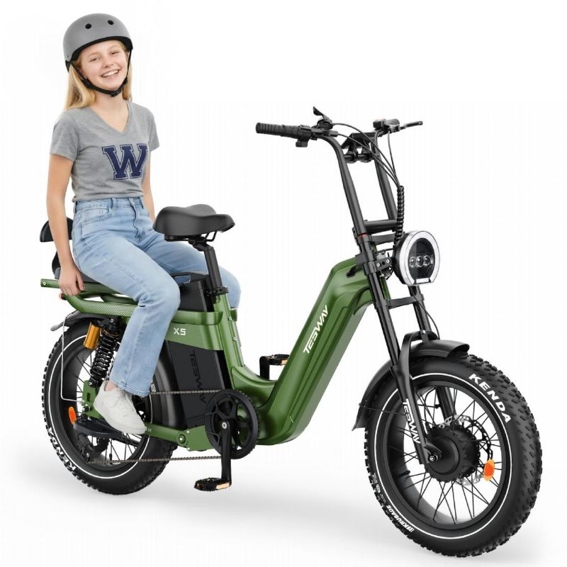 TESWAY X5 AWD Electric Bike – Factory-Locked 250W EAPC-Compliant Configuration, 52V 60Ah Battery