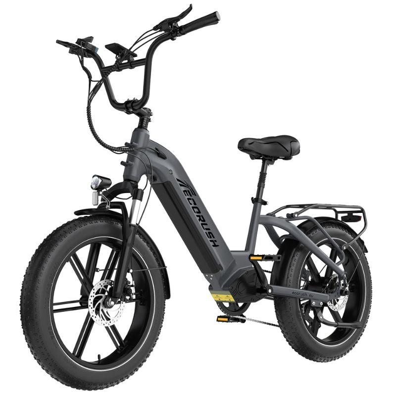 Front disc brake and suspension fork of ECORUSH R6