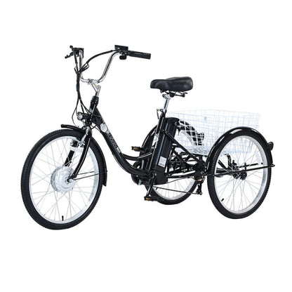 GOGOBEST GF100 350W 15Ah Electric City Tricycle