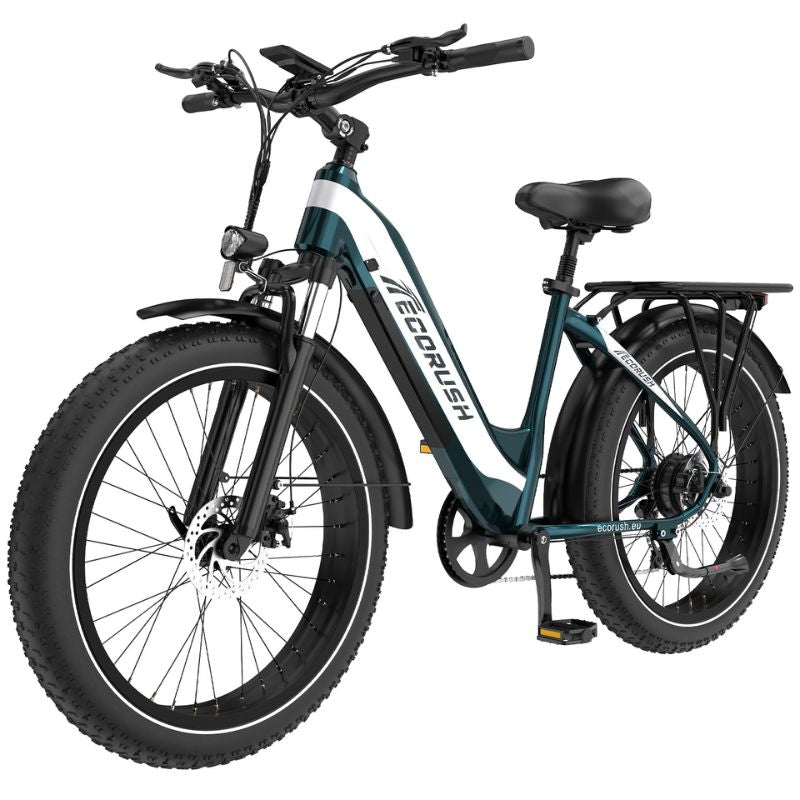 Rear disc brake and Shimano 7‑speed gearing ECORUSH R3