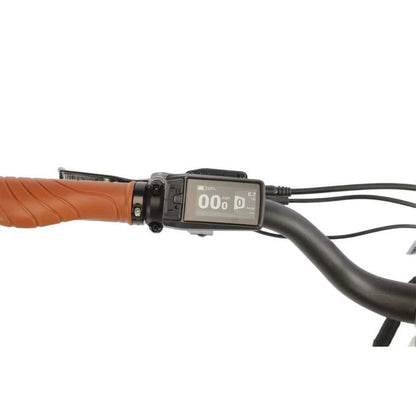 EMU Longtail Cargo Electric Bike