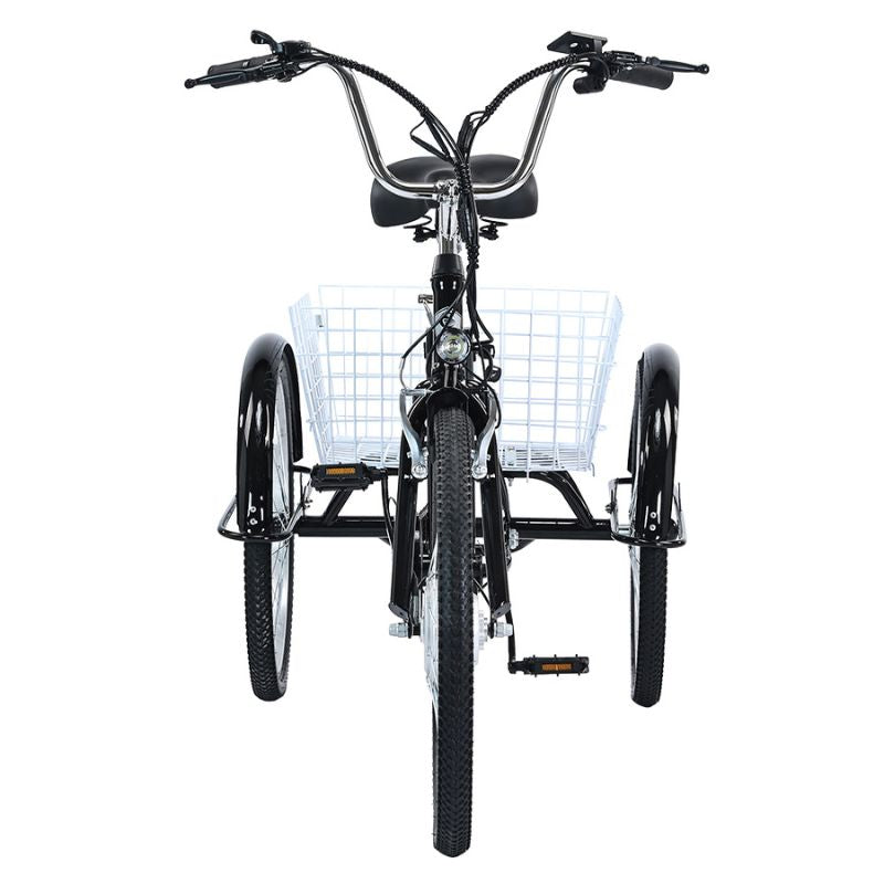 GOGOBEST GF100 350W 15Ah Electric City Tricycle