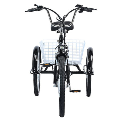 GOGOBEST GF100 350W 15Ah Electric City Tricycle
