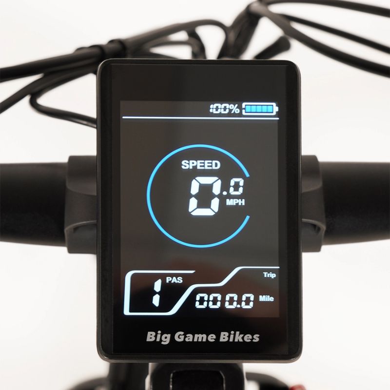 Big Game Bikes Buffalo 250W Mountain e‑Bike