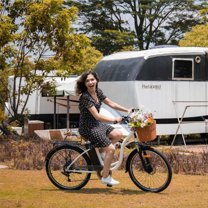 DYU C6 26-Inch Electric Bike | 250W | 36V 12.5Ah | 25 km/h