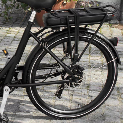 AMCargoBikes Ultimate Curve Cargo Electric Tricycle