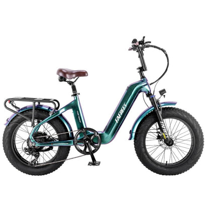 Fafrees F20 Master Electric Bike