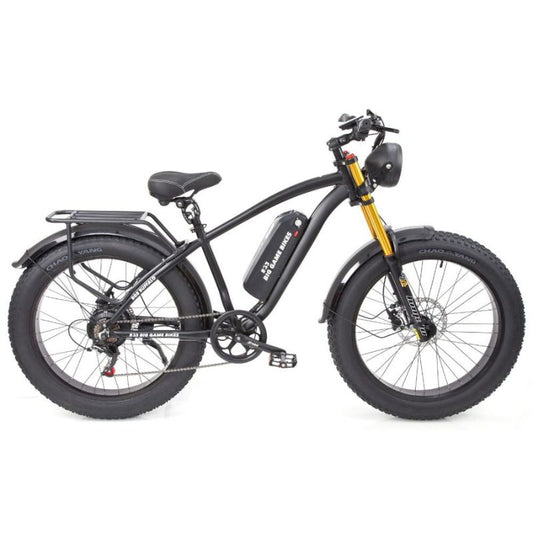 Buffalo Alpha Plus 250 W Mountain eBike side view showing fat tyres