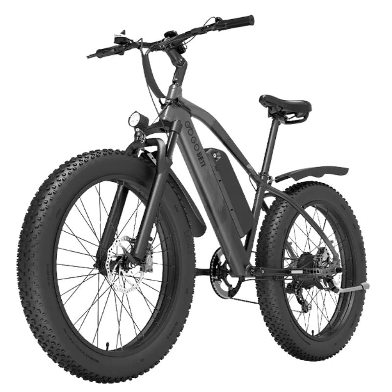 Front oil-spring suspension fork detail on GF600 PLUS