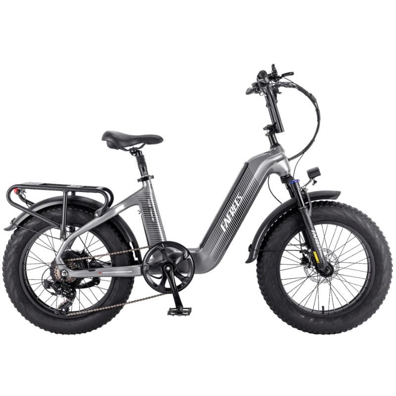 Fafrees F20 Master Electric Bike