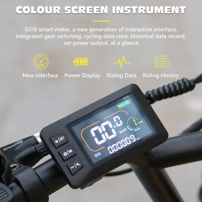 Hidoes C8 Fat Tire Electric Bike