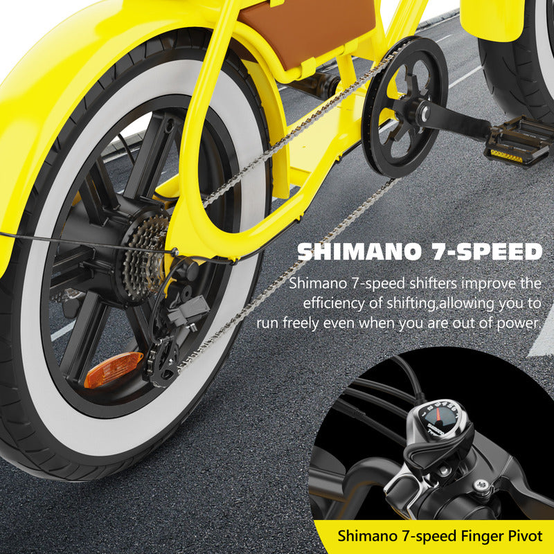 Hidoes C8 Fat Tire Electric Bike