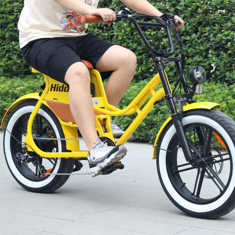 Hidoes C8 Fat Tire Electric Bike