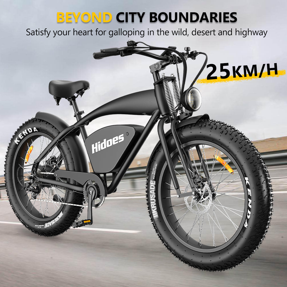 Hidoes B3 Electric Bike