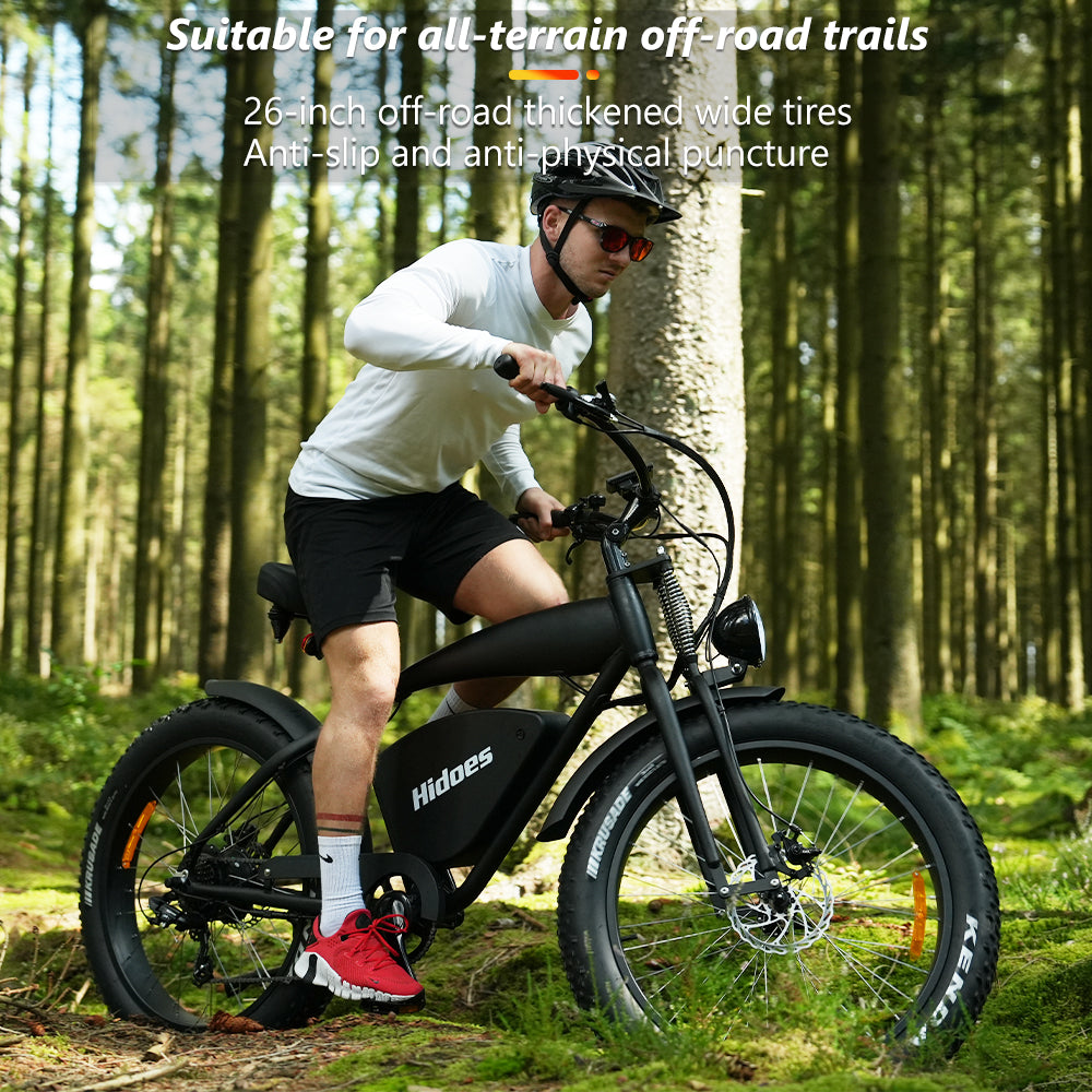 Hidoes B3 Electric Bike