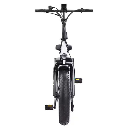 Hidoes 20inch Tyre ebike BF1 48V 750W Electric Bicycle