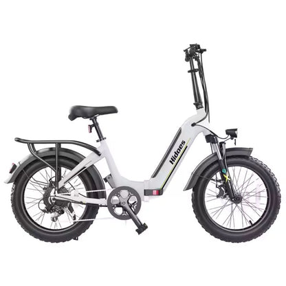 Hidoes 20inch Tyre ebike BF1 48V 750W Electric Bicycle
