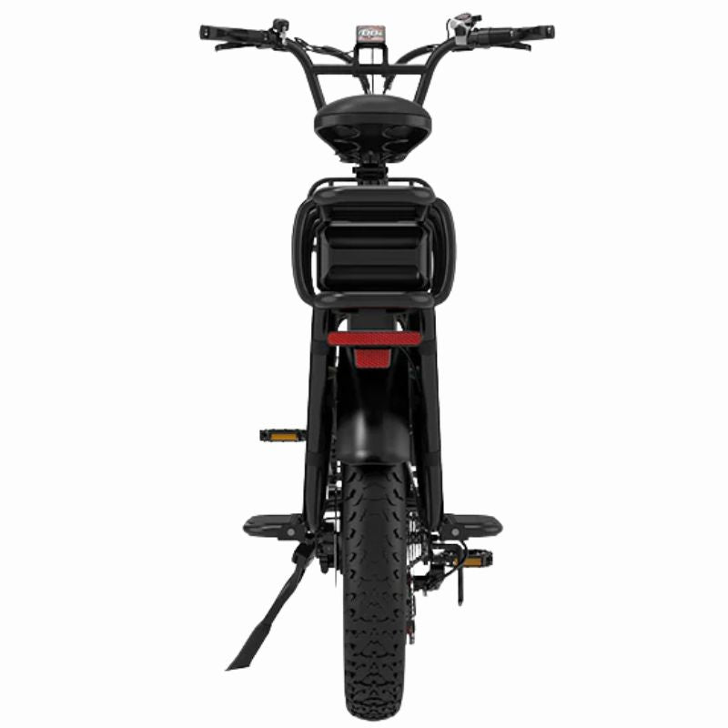 High power 750W electric bike