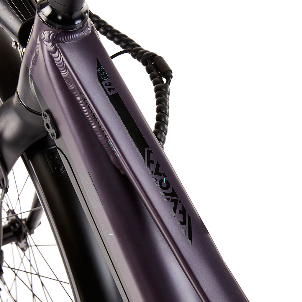 LCD display with power assist controls on urban electric bike